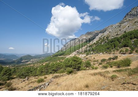 Views of Grazalema Natural Park from Boyar Mountain Pass, Cadiz, Andalusia, Spain