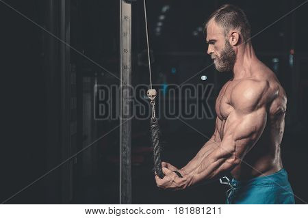 Brutal Caucasian Handsome Fitness Men On Diet Training Triceps Gym