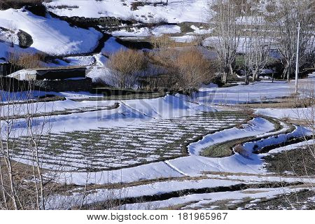 Winter Scenery In Mustang, Nepal