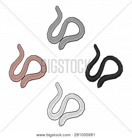 A Worm, A Boneless Animal. Earthworm Single Icon In Cartoon Style Vector Symbol Stock Isometric Illu