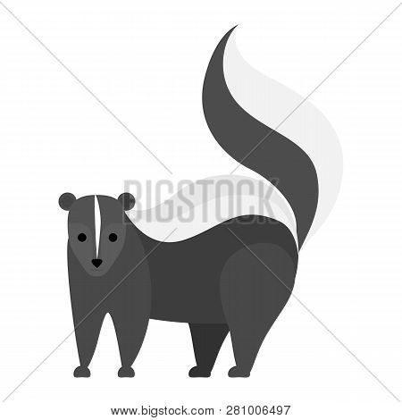 Black And White Skunk Animal. Creature With Tail