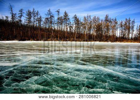 Frozen Lake Khubsugul. Beautiful Forest Near The Ice Surface On A Frosty Day. Natural Background
