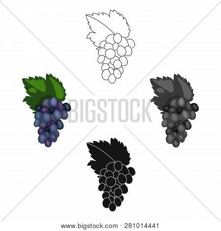 Bunch Of Grapes Icon In Cartoon Style Isolated On White Background. Greece Symbol Stock Vector Illus
