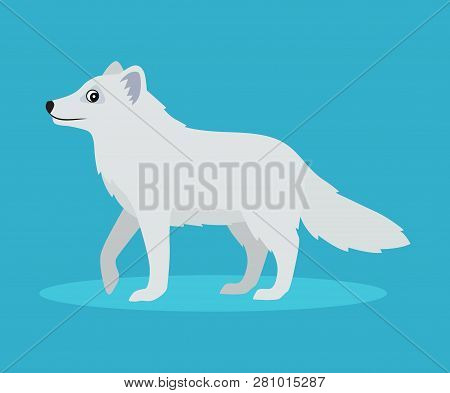 Cute Arctic Fox Or Polar Fox Icon, Isolated On Blue Background, Wild Snow Furry Beast, Vector Illust