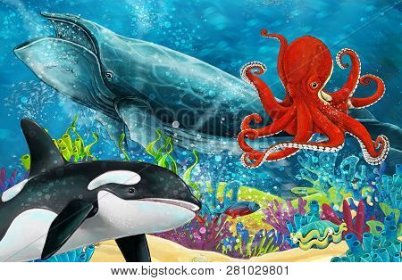 Cartoon Scene With Whale And Killer Whale And Octopus Near Coral Reef - Illustration For Children