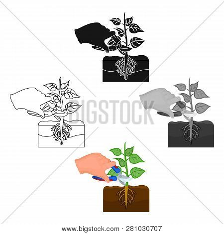 Plants, Single Icon In Cartoon Style .plants, Vector Symbol Stock Illustration Web.