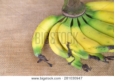Close Up Of Lebmuernang Banana Or Slim Yellow Bunch Of Bananas (kluai Leb Mu Nang In Thai)