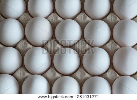 Fresh White Eggs In Packing From A Cardboard.