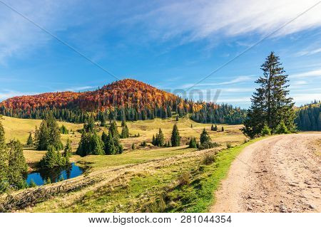 Sunny Forenoon In Autumn In Mountains. Beautiful Landscape With Beech Forest In Red Foliage On The H