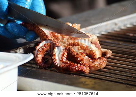 Cook Cleans And Prepares An Octopus For Cooking On The Grill