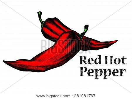 Hand Drawn Peppers. Advertising Illustration Created In Engraving Sketck Style.