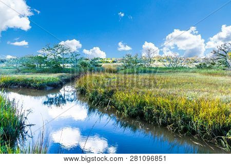A View Of The Saltwater, Wetland Marsh Near The Coast Of St Simons, Georgia