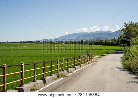 road at green paddy farm in the countryside