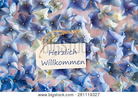 Hydrangea Flat Lay, Willkommen Means Welcome, Background