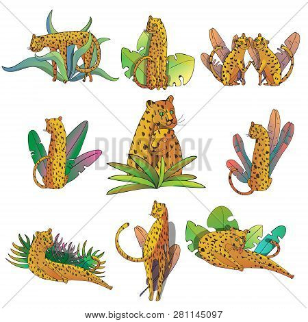 Vector Set Of Hand Drawn Leopards With Topical Leaves. Large Wild Cats. Line Art With Colorful Fill 