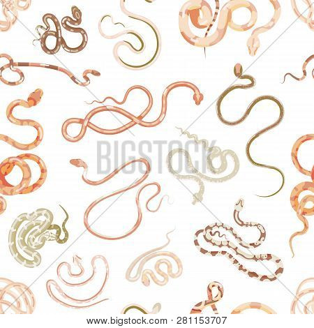Elegant Seamless Pattern With Snakes On White Background. Backdrop With Exotic Legless Reptiles, Ven