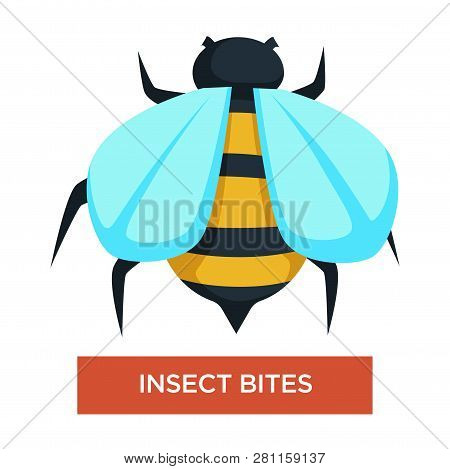 Insect Bites Bee Stings Bug Or Beetle Allergy
