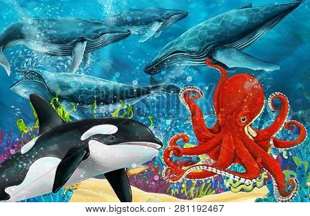 Cartoon Scene With Whale And Killer Whale And Octopus Near Coral Reef - Illustration For Children