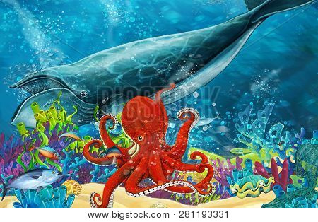 Cartoon Scene With Whale And Killer Whale And Octopus Near Coral Reef - Illustration For Children