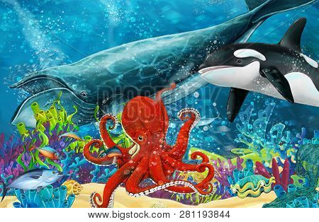 Cartoon Scene With Whale And Killer Whale And Octopus Near Coral Reef - Illustration For Children