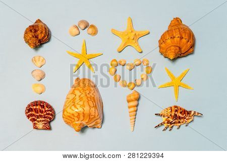 Summer Composition. Different Seashells And Starfish Lying On Ligth Blue Paper Background Symbolizin