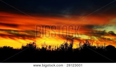 Tramonto in campagna