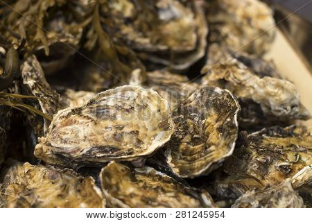 The Pool Arbour Rare Native Oysters And Cherrystone Clams On Ice At The Borough Market In London