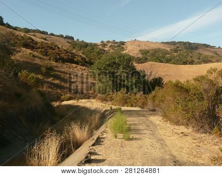 Hillside Terrain With Trees In Almaden Valley