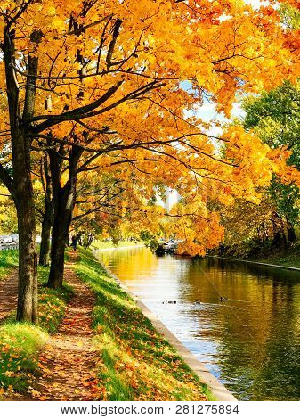 Golden Autumn Trees And Pathway In Fallen Leaves Near Canal In Sunny Weather. Beautiful Colourful Ma
