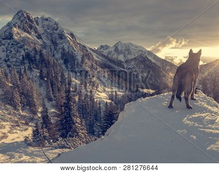 Spectacular Winter Mountain Landscape Illuminated By Setting Sun.