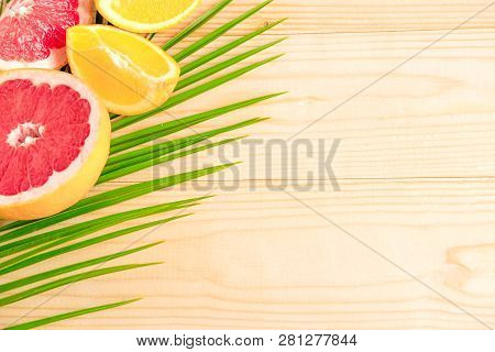 The Basis For The Banner With Palm Leaf And Fruit. Grepfruit, Orange, Palm Leaf With Space For Copis