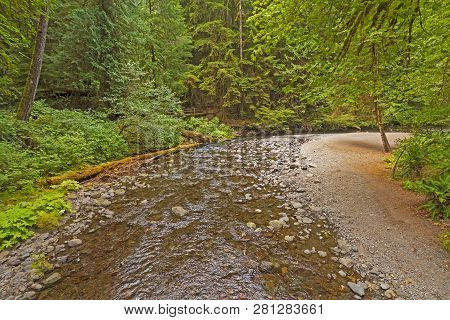 Falls Creek In A Temperate Rain Forest In Olympic National Park In Washington