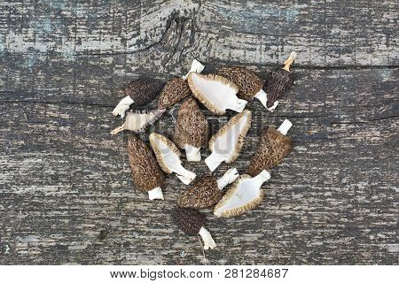 Freshly Picked Early Spring Black Morel Or Morchella Conica Mushrooms On Old Oak Table, Cut In Half 