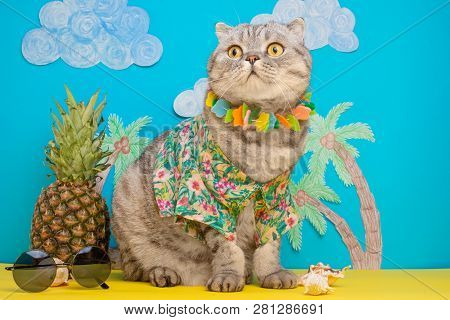 A Cat On Holiday In A Hawaiian Shirt With Pineapples. On The Beach With Malma. A Concept Of Rest, Re