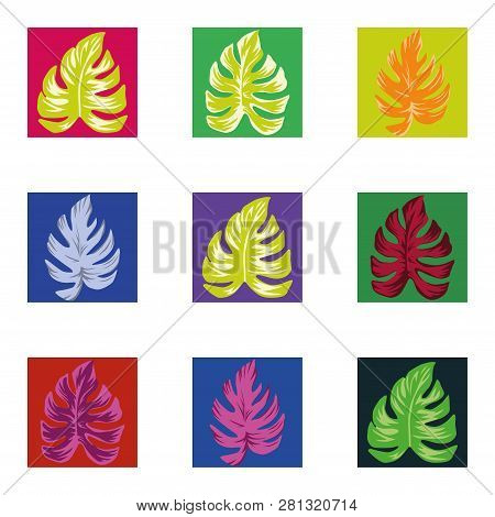 Abstract Color Vector Tropical Monstera Leaves In The Multicolor Square Seamless Pattern On The Whit