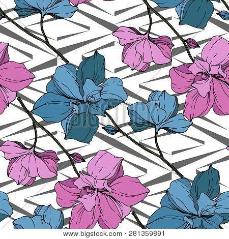 Vector Pink And Blue Orcid Floral Botanical Flower. Engraved Ink Art. Seamless Background Pattern.