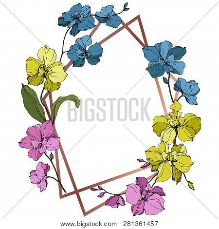 Vector Pink, Blue And Yellow Orcid Floral Botanical Flower. Engraved Ink Art. Frame Border Ornament 