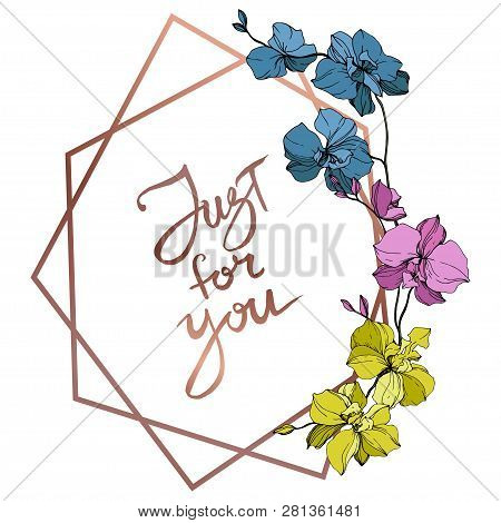 Vector Pink, Blue And Yellow Orcid Floral Botanical Flower. Engraved Ink Art. Frame Border Ornament 