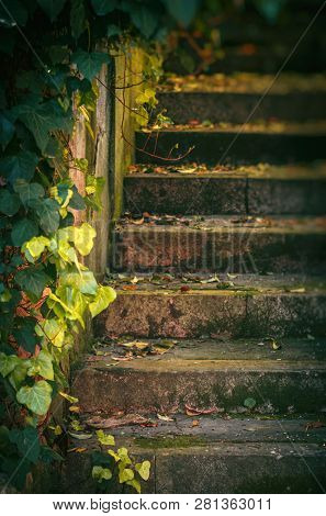 Detail of stone stairway with foliage and fallen leaves in a park
