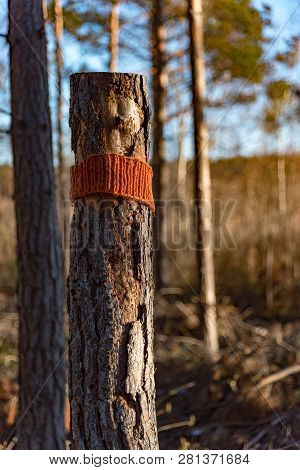 Walking Trail Marked By Knitted Orange Markers