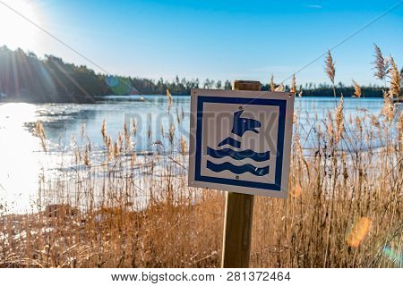 Sign Of A Bathing Dog Near A Lake