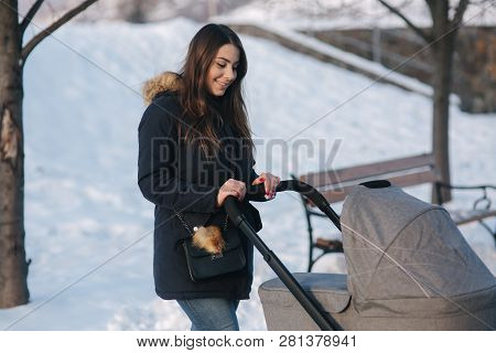 Young Mother Walking With Her Baby In Pram. Beautiful Stoller. Winter Photosession