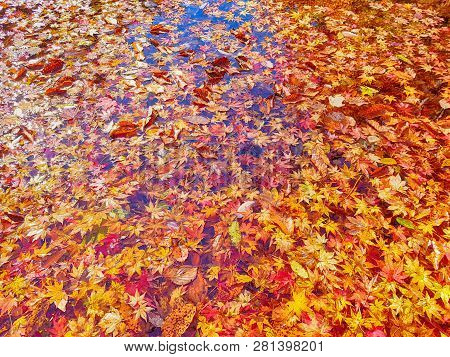 Autumn Of Gancheonsan Mountain, Sunchang, Jeollanamdo, South Korea