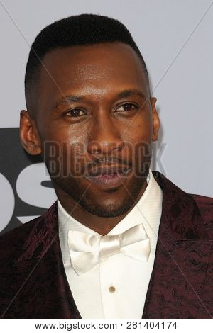 LOS ANGELES - JAN 27:  Mahershala Ali at the 25th Annual Screen Actors Guild Awards at the Shrine Auditorium on January 27, 2019 in Los Angeles, CA