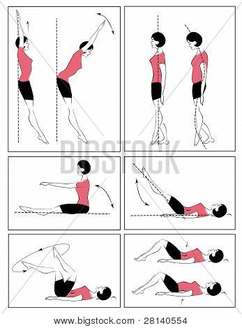 เวกเตอร์ชุดออกกำลังกายทางกายภาพ