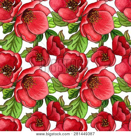 Watercolor Seamless Pattern Of Japanese Quince (chaenomeles) In Bloom, Hand Drawn Floral Illustratio