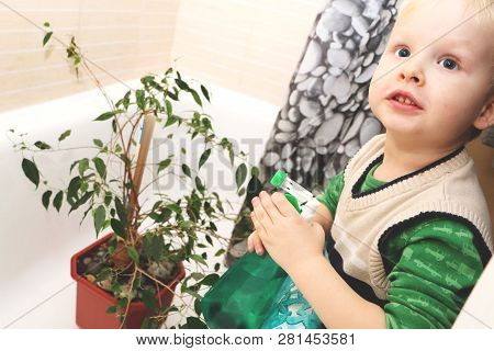 The Boy Is Caring For A Home Plant In The Bathroom. Ficus Benjamina