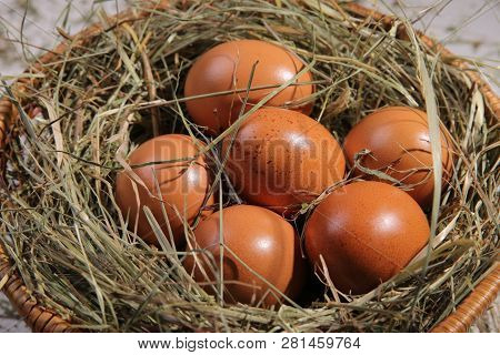 Six Eggs Lying On A Hay In A Basket. Easter Or Village Theme.