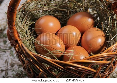 Six Eggs Lying On A Hay In A Basket. Easter Or Village Theme.