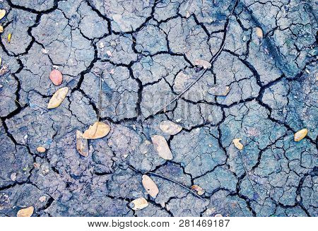 Dry Soil With Crack Net And Fallen Yellow Leaves. Arid Land Texture. Drought Land Top View Photo. Gr